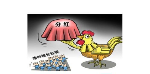 股東分紅怎么會(huì)計(jì)科目