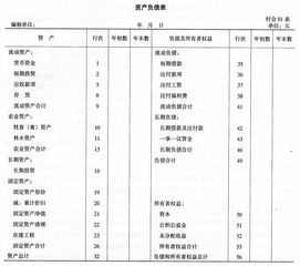 集體經(jīng)濟(jì),會(huì)計(jì)科目,農(nóng)村,組織