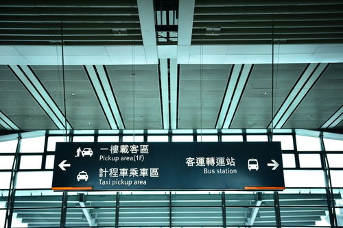 財(cái)政授權(quán)支付會(huì)計(jì)科目,財(cái)政直接支付會(huì)計(jì)科目,財(cái)政授權(quán)支付和直接支付的會(huì)計(jì)科目