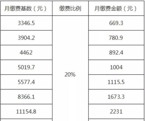 養(yǎng)老保險(xiǎn),會(huì)計(jì)科目