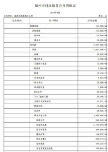 農(nóng)村村級(jí)會(huì)計(jì)科目明細(xì)表