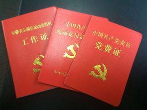 會計(jì)科目使用不規(guī)范整改報(bào)告,會計(jì)科目列支不規(guī)范的整改,會計(jì)科目使用不規(guī)范怎么整改