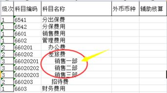 只有把會(huì)計(jì)科目設(shè)置為輔助核算
