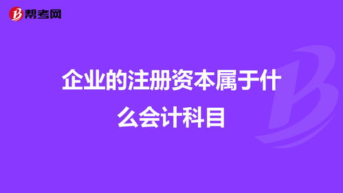 注冊(cè)資本放在哪個(gè)會(huì)計(jì)科目