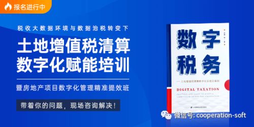 清算,審計(jì),會(huì)計(jì)科目