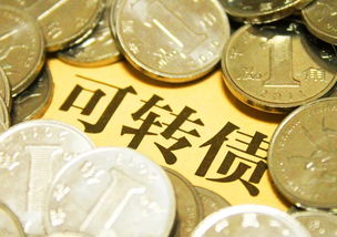 會計科目,公司