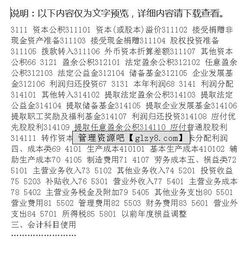 最新典當(dāng)會計科目和會計報表