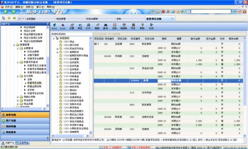 會(huì)計(jì)科目,erp