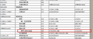 全稱(chēng),會(huì )計科目,顯示,kis