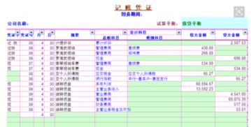 當(dāng)會計科目和方向沒有錯誤,所填金額,會計科目和方向沒有錯誤,所填金額小于,會計科目方向正確但金額錯誤
