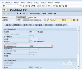 會計科目,查看,sap
