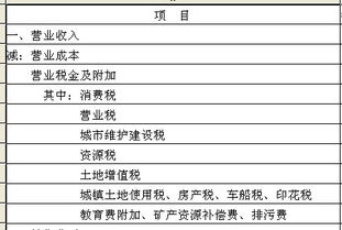 計(jì)提個(gè)稅進(jìn)哪個(gè)會(huì)計(jì)科目