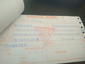 退耕還林會(huì)計(jì)科目