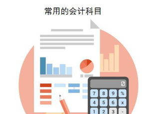 核算,會(huì )計科目,內容