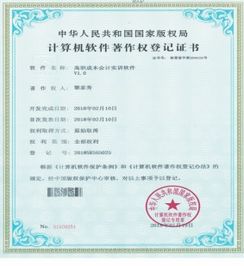 軟件著作權資助經費會計科目