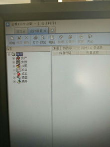 會(huì )計科目后需附文件