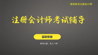 攤余成本會計科目