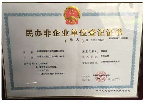 民辦非企業(yè)單位會計科目及會計報表,民辦非企業(yè)單位做賬的會計科目,民辦非企業(yè)單位會計科目及賬務處理