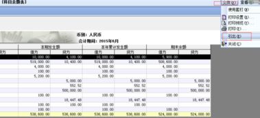 余額,會(huì )計科目,u8