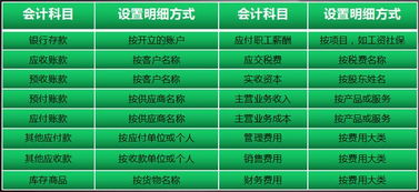 核算,專(zhuān)項,會(huì )計科目,設置