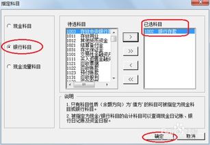 指定會計科目u8