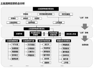 流轉(zhuǎn),農(nóng)村土地,會(huì)計(jì)科目