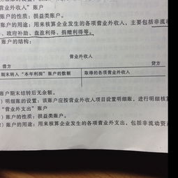 借方,負數,營業(yè),成本