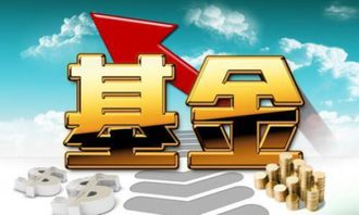 基金屬于什么會計科目,固定基金屬于什么會計科目,專用基金屬于什么會計科目