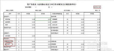 農民專(zhuān)業(yè)合作社應設置哪些會(huì )計科目
