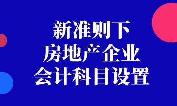 按會(huì)計(jì)準(zhǔn)則房地產(chǎn)公司會(huì)計(jì)科目設(shè)置