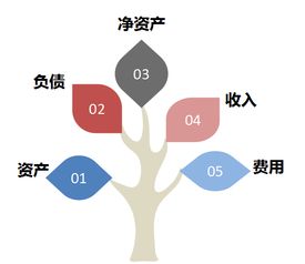 司法局預(yù)算會(huì)計(jì)科目