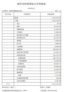 明細,合作社,會計科目,農村