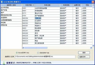 新中大會(huì)計(jì)科目導(dǎo)入