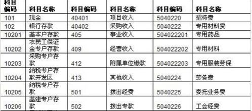 拍牌照做什么會(huì )計科目