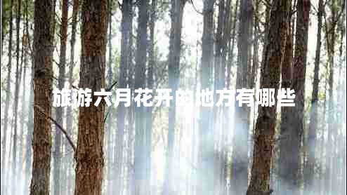 旅游六月花開(kāi)的地方有哪些