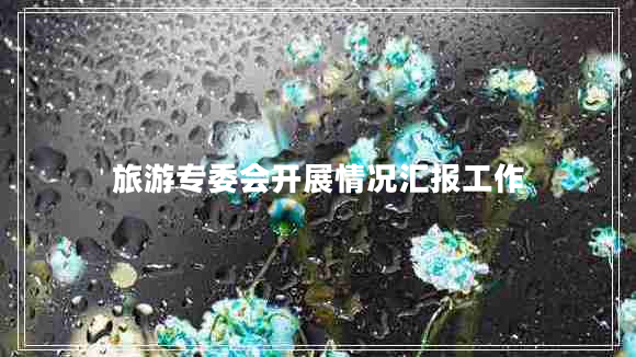 旅游專(zhuān)委會(huì )開(kāi)展情況匯報工作