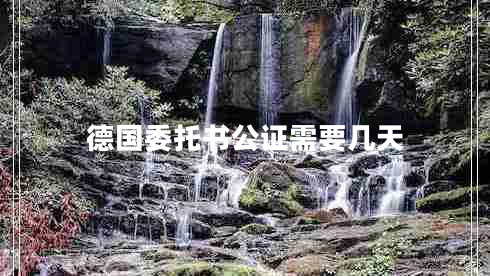德國(guó)委托書(shū)公證需要幾天