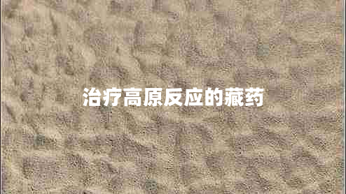 治療高原反應的藏藥