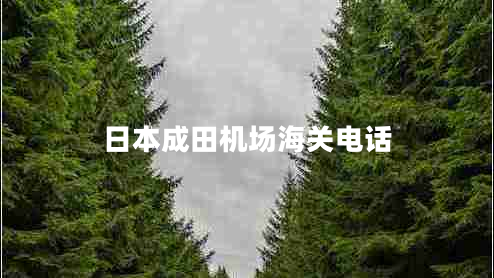 日本成田機(jī)場海關(guān)電話