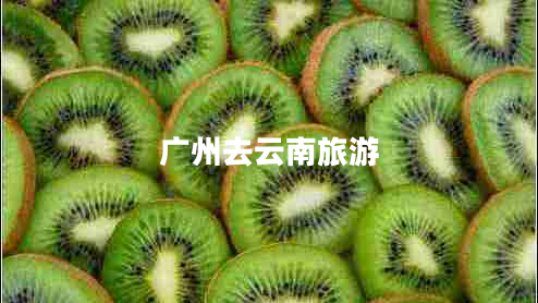 廣州去云南旅游