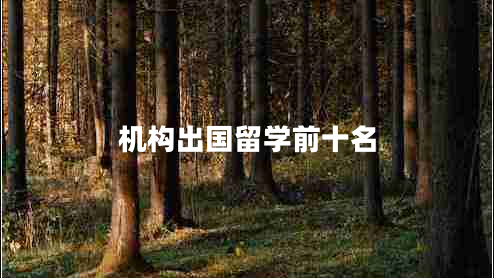 機構出國留學(xué)前十名