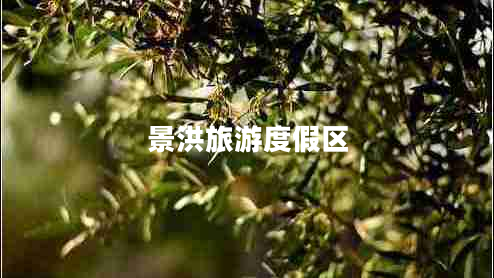景洪旅游度假區(qū)
