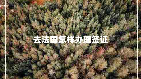 去法國怎樣辦理簽證