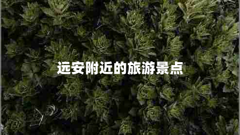 遠安附近的旅游景點(diǎn)