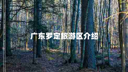 廣東羅定旅游區(qū)介紹