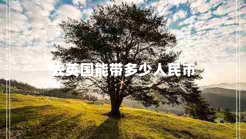 去英國(guó)能帶多少人民幣