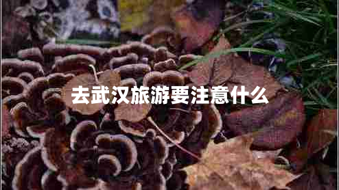 去武漢旅游要注意什么