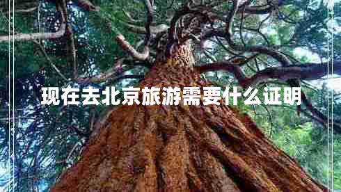 現(xiàn)在去北京旅游需要什么證明