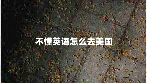 不懂英語(yǔ)怎么去美國(guó)