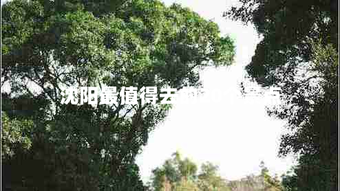 沈陽(yáng)最值得去的20個(gè)景點(diǎn)